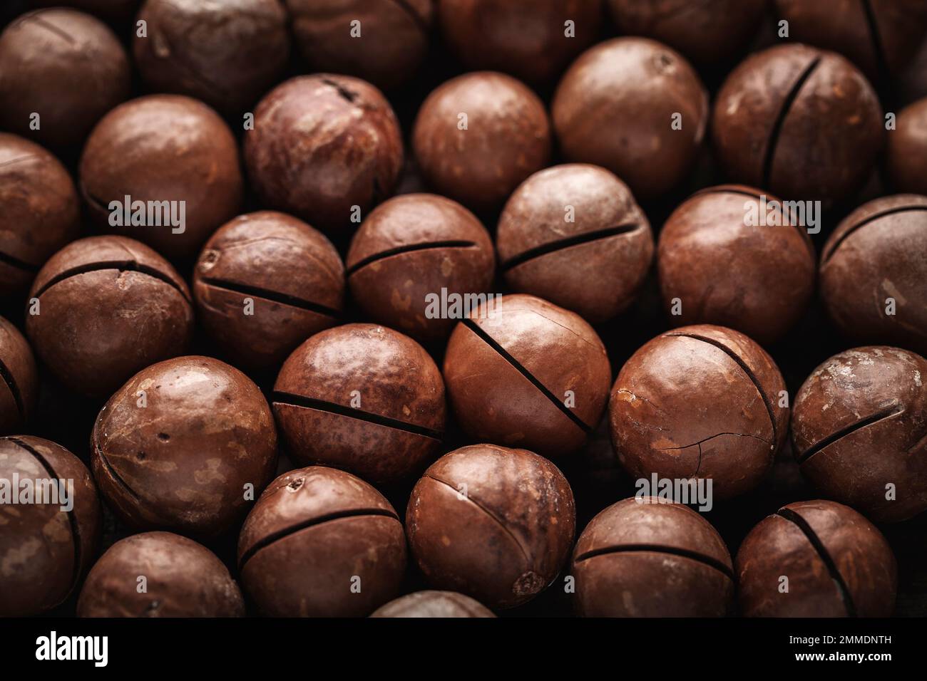 macadamia nuts, typical Australian queensland Stock Photo Alamy