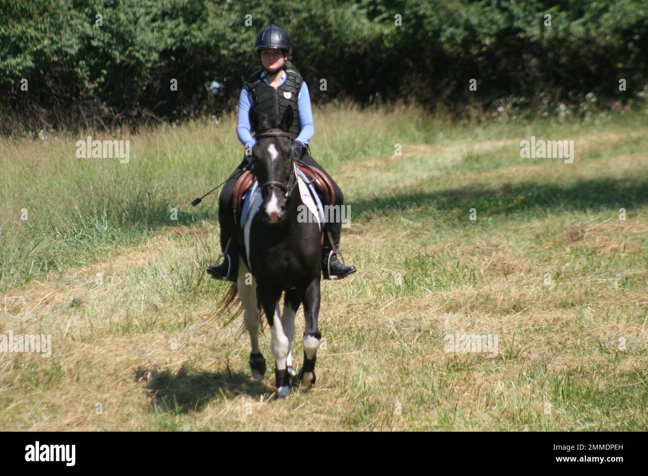 Queeny Park Equestrian Novice Event Stock Photo Alamy