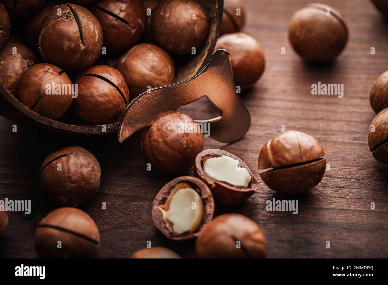 macadamia nuts, typical Australian queensland Stock Photo Alamy