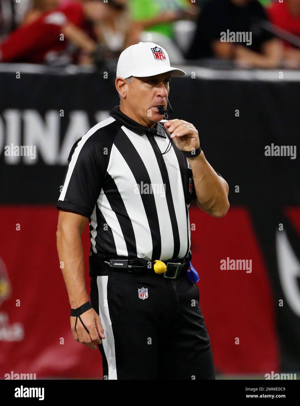 NFL referee John Hussey during an NFL football game between the Arizona ...