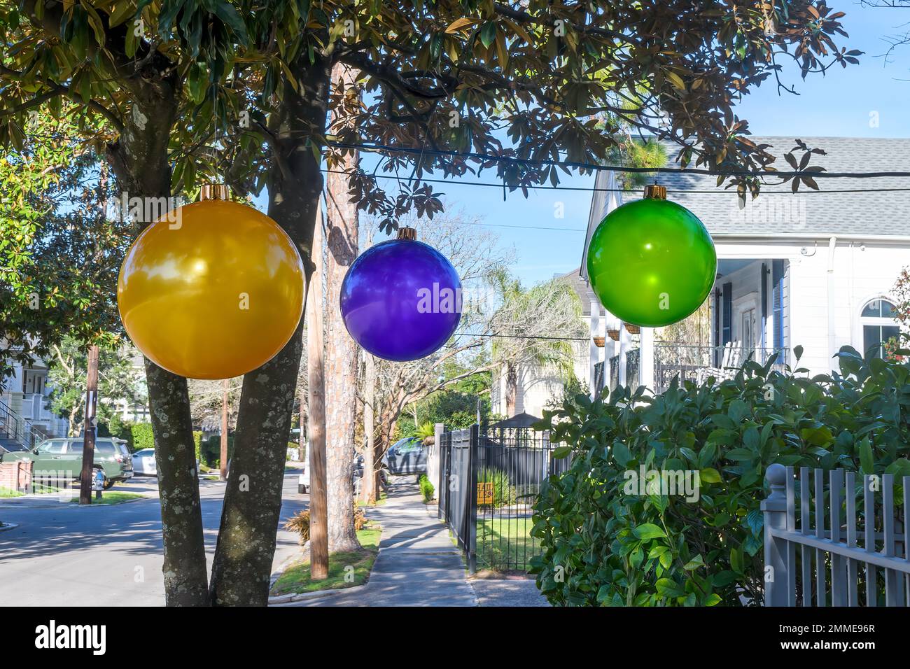 NEW ORLEANS, LA, USA - JANUARY 19, 2023: Large ornaments in Mardi Gras colors (purple, green and gold) decorate a tree in an Uptown neighborhood for c Stock Photo