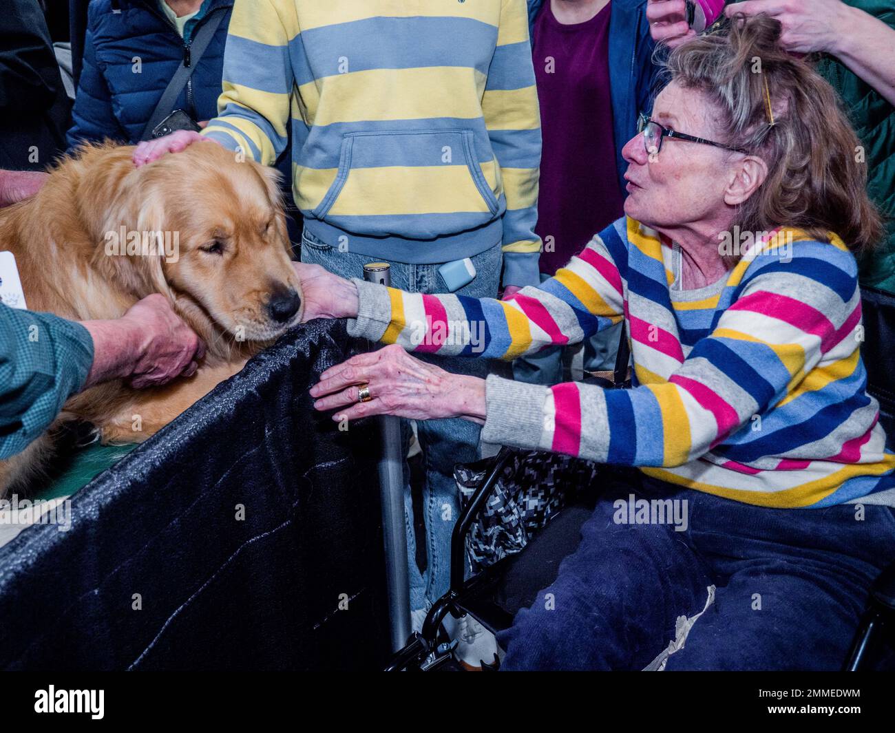 New York, New York, USA. 29th Jan, 2023. It was hands on at the AKC