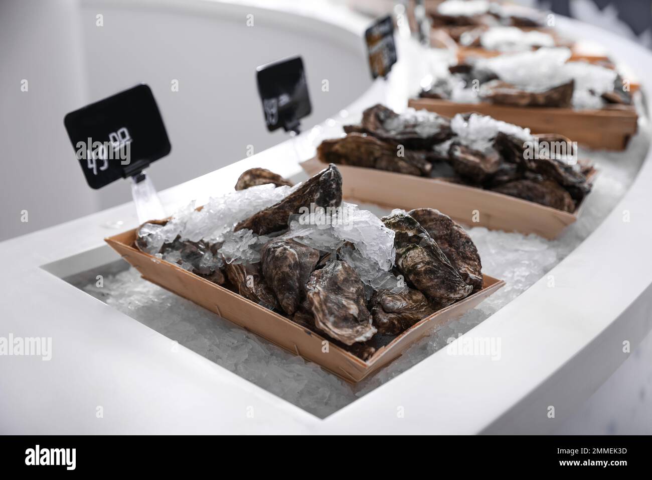 Fresh oysters with ice on display. Wholesale market Stock Photo - Alamy