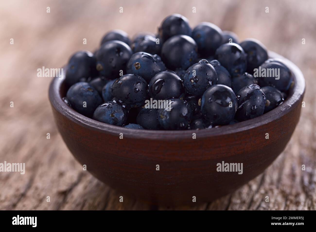 Fresh raw Patagonian Calafate berries (lat. Berberis heterophylla) in rustic bowl, photographed on wood (Selective Focus) Stock Photo