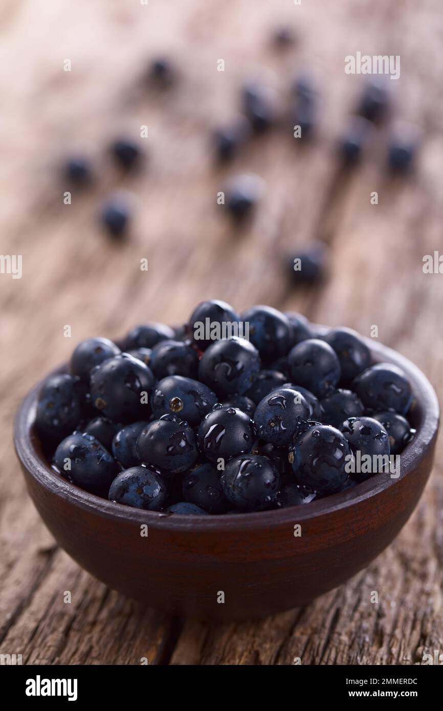 Fresh raw Patagonian Calafate berries (lat. Berberis heterophylla) in rustic bowl, photographed on wood (Selective Focus) Stock Photo