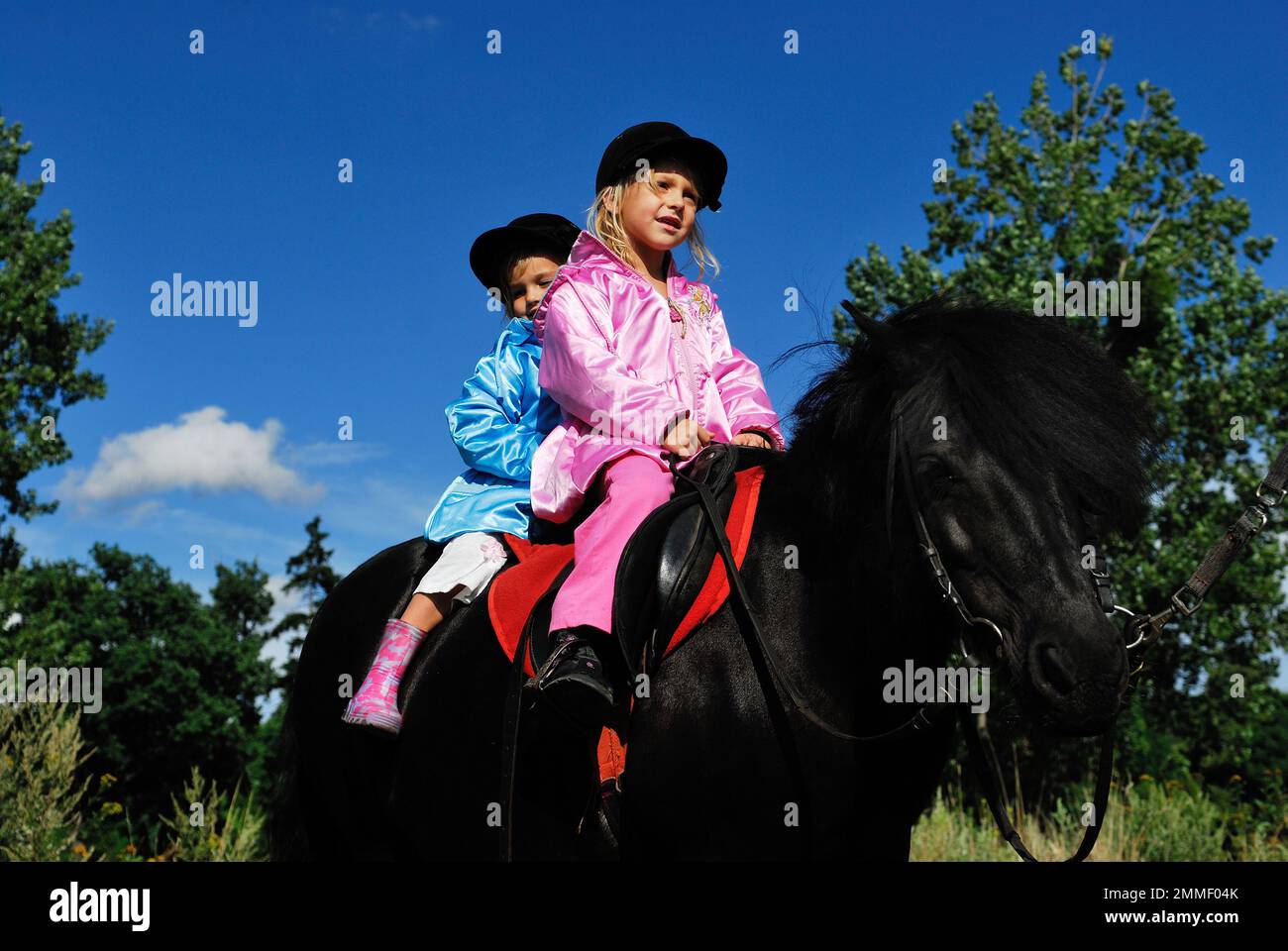 hippo therapy, child, rider, horse rider, therapy with animals, health