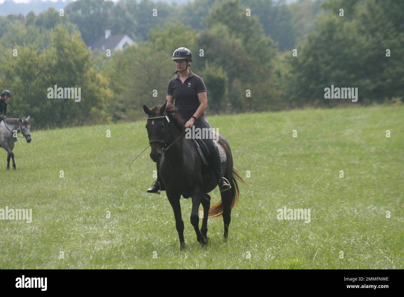Queeny Park Equestrian 2022 This is an Novice Event. The riders show