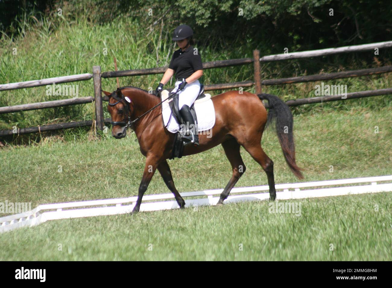 St. Louis Counties Equestrian Park Queeny Park Equestrian 2022 Stock