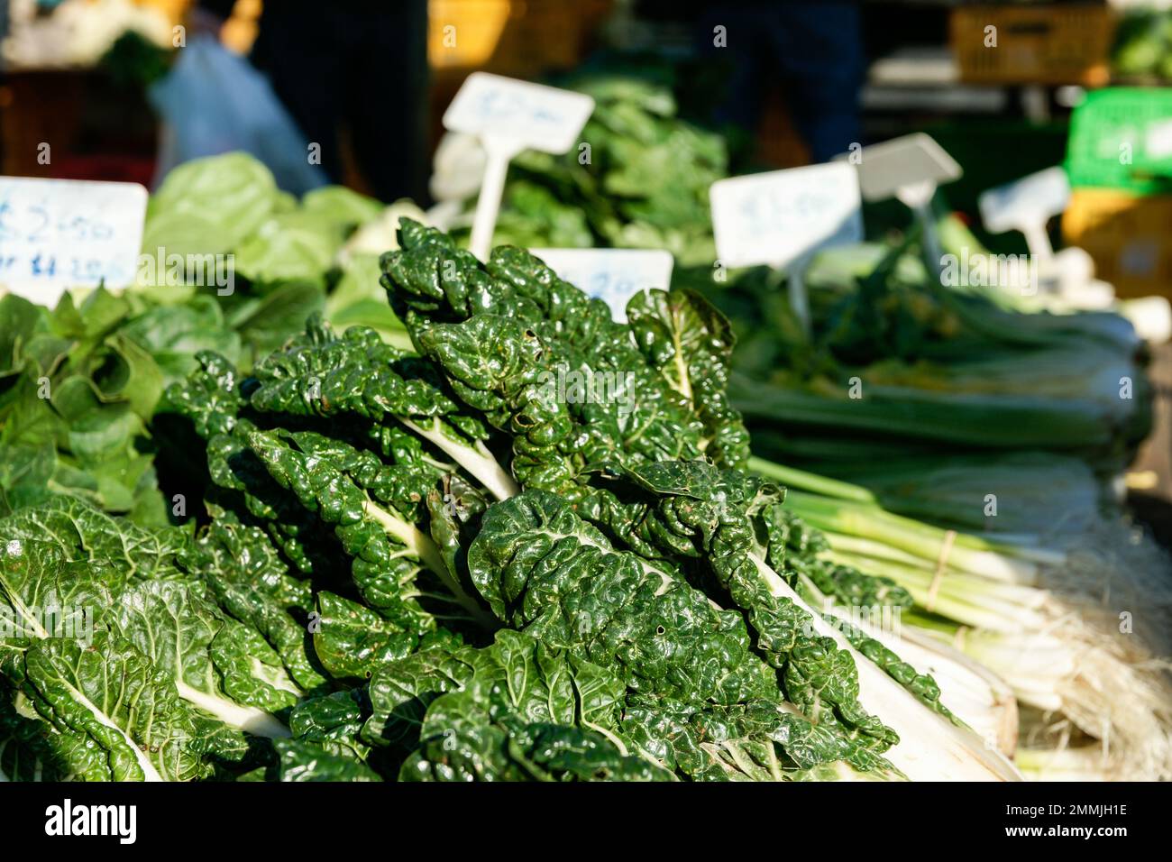 Fresh silver beet on bench for sale in farmers market in wellington New Zealand. Stock Photo
