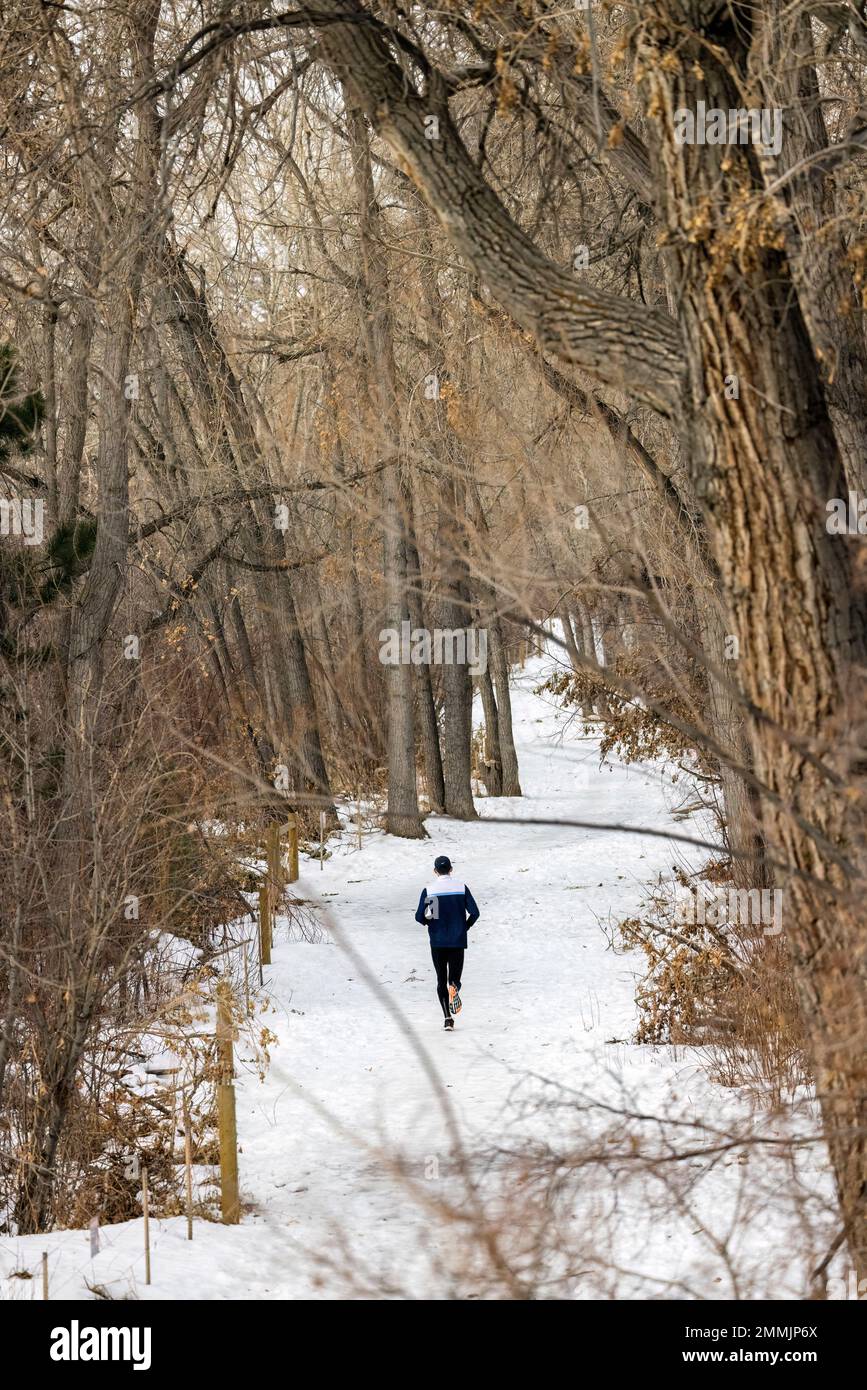 Runner on Clear Creek Trail in winter. Golden, Colorado, USA Stock Photo