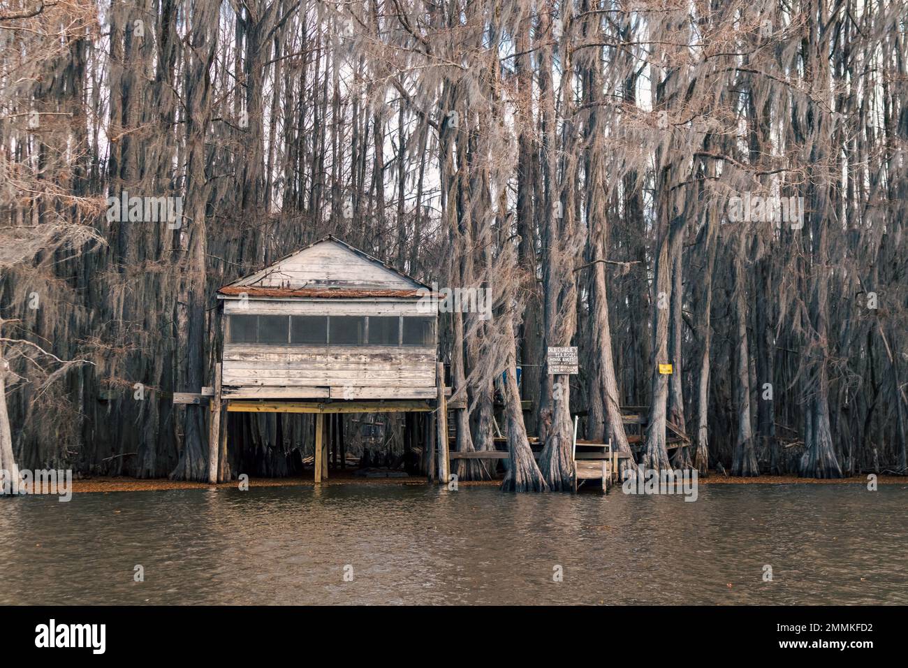 The Ruins Of The Historic Dick And Charlie s Tearoom On Caddo Lake In the-ruins-of-the-historic-dick-and-charlie-s-tearoom-on-caddo-lake-in