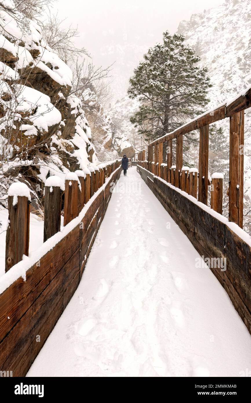 Hiker on snow-covered old wooden flume on Welch Ditch Trail in Clear Creek Canyon in winter. Part of the Peaks to Plains Trail - near Golden, Colorado Stock Photo