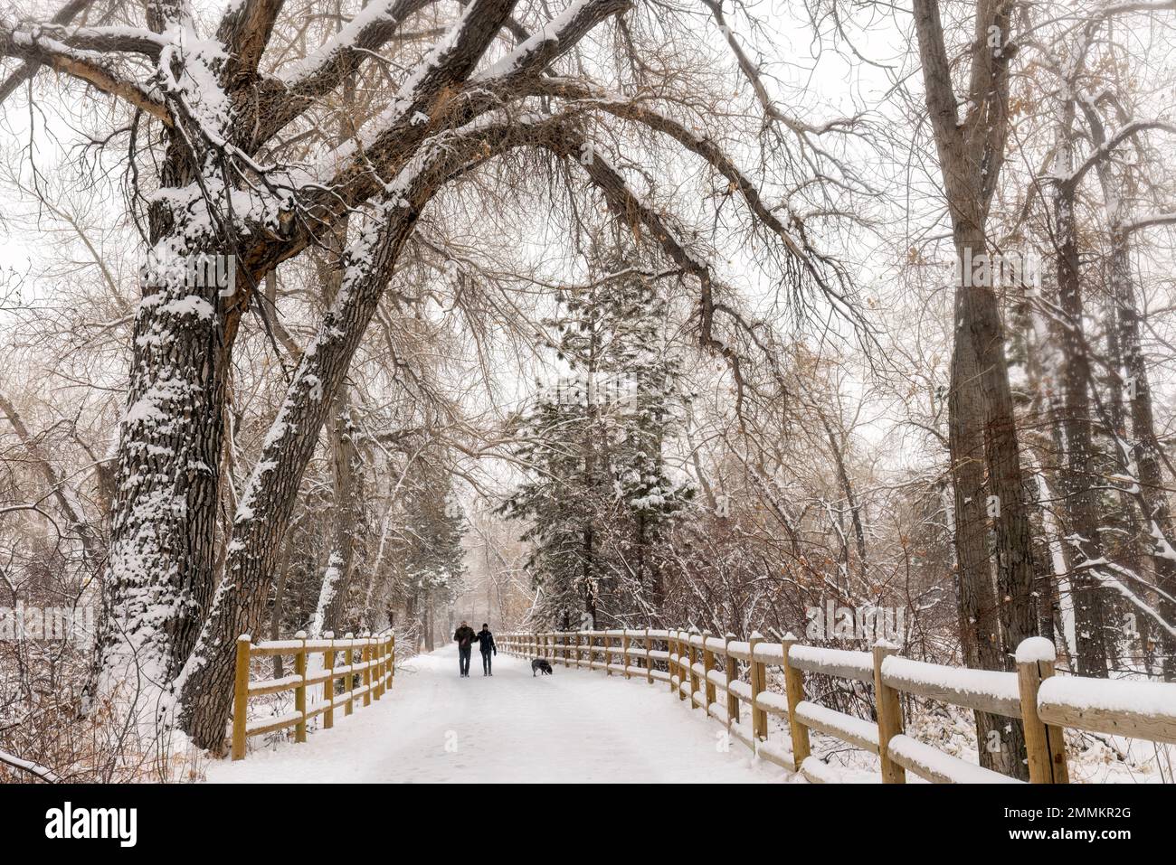 Couple walking their dog on Clear Creek Trail in winter. Golden, Colorado, USA Stock Photo