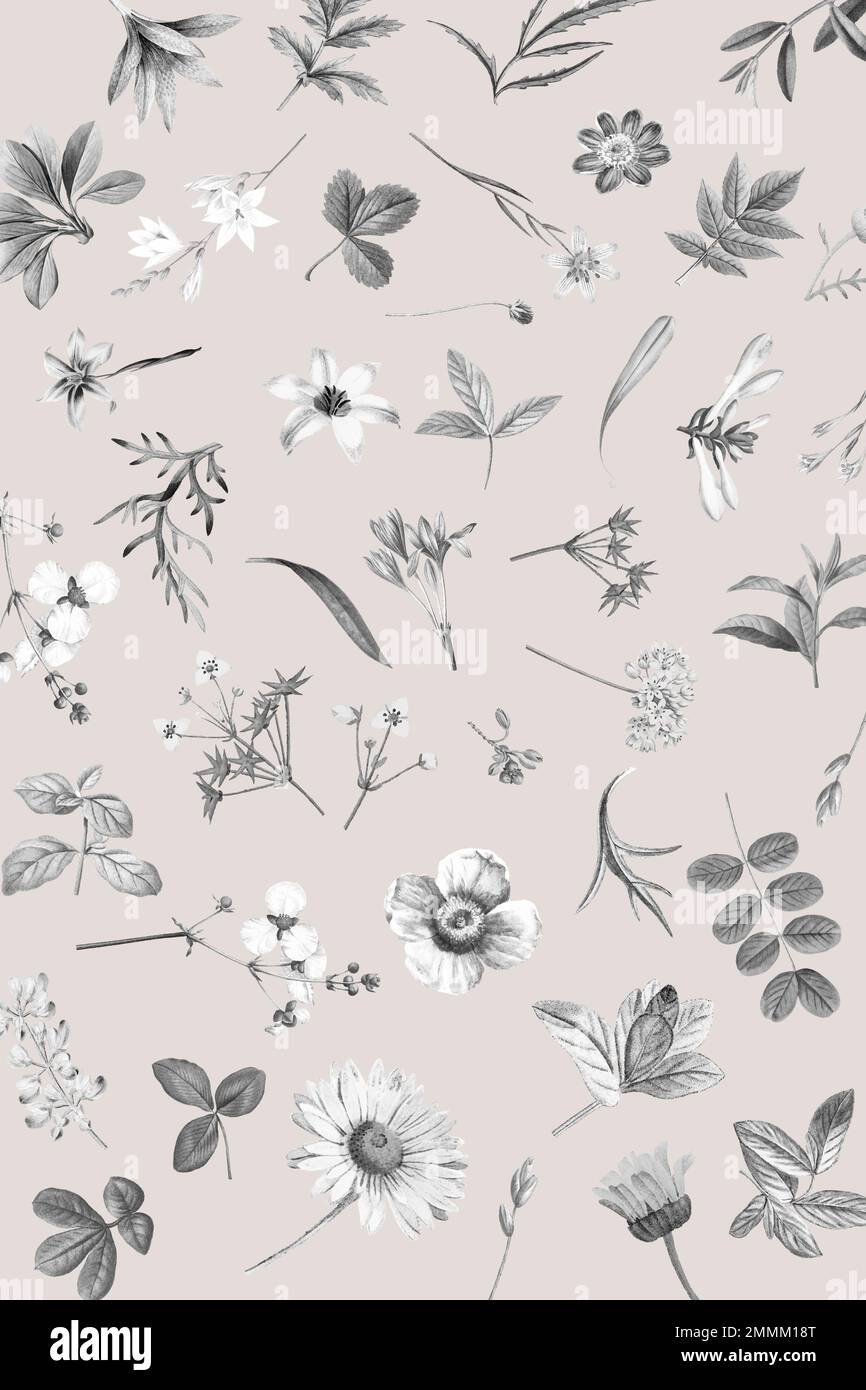 Pink floral wallpaper design vector Stock Vector Image & Art Alamy