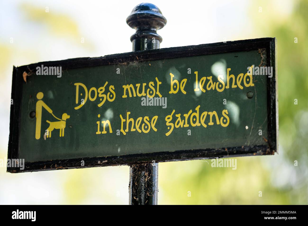dogs on lead sign Stock Photo Alamy