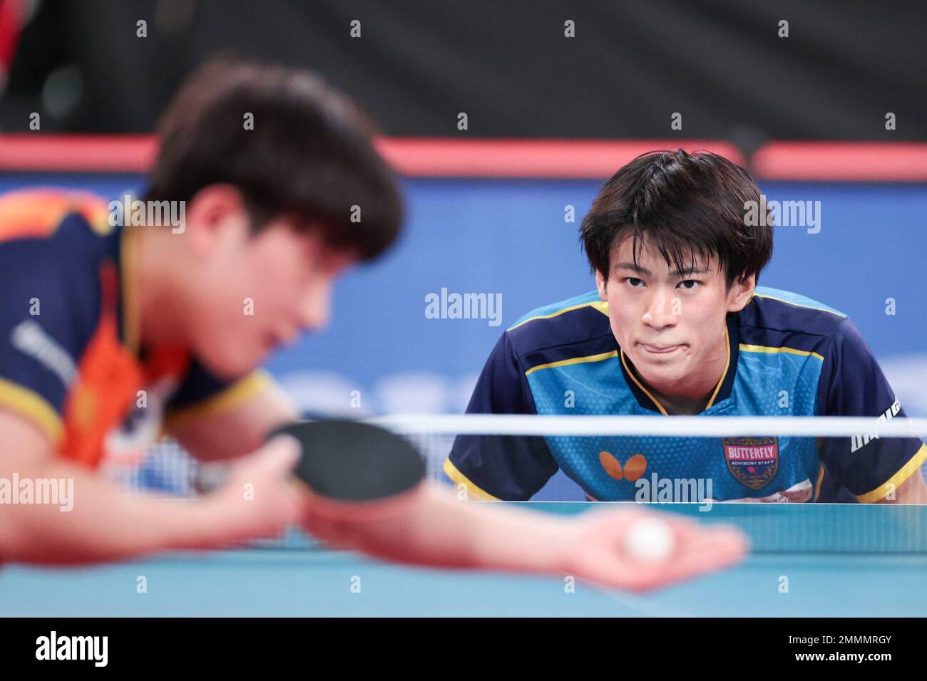 Tokyo, Japan. 29th Jan, 2023. Shunsuke Togami Table Tennis All Japan
