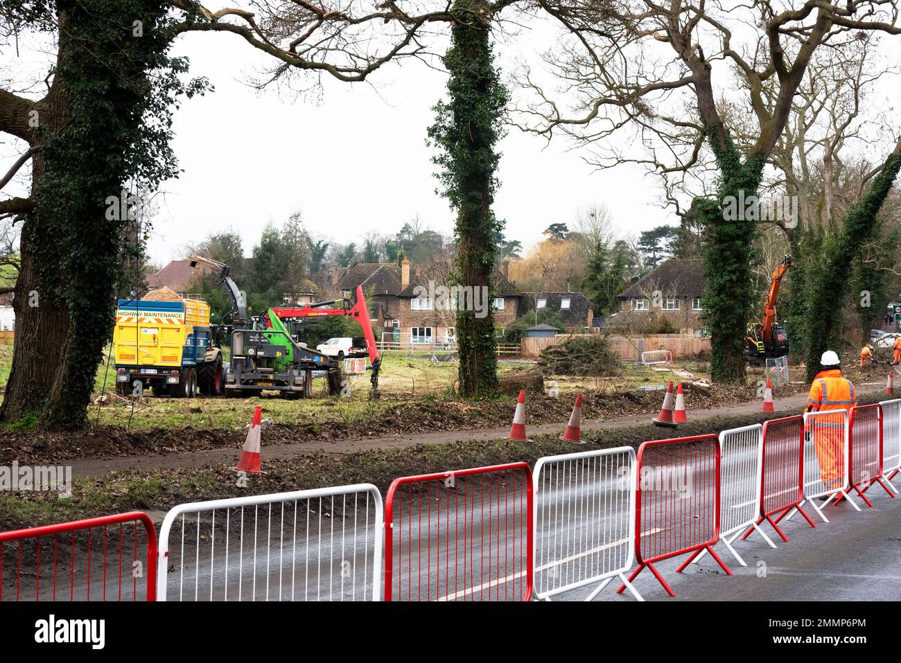 Hartwell, Aylesbury, UK. January 29th 2023. A413 road closure and mass tree felling by HS2 Ltd contractors on HS2 land adjacent to a popular well used public path and cycle way. HS2 high court injunction affixed to fencing. HS2 contractors with chainsaws cut the base of trees while excavators fitted with grapples assisted in felling them. Motorists were confused and on seeing barriers blocking the main road would do hazardous 3 point turns close to a tight bend by the Bugle Horn pub. Credit: Stephen Bell/Alamy Live News Stock Photo