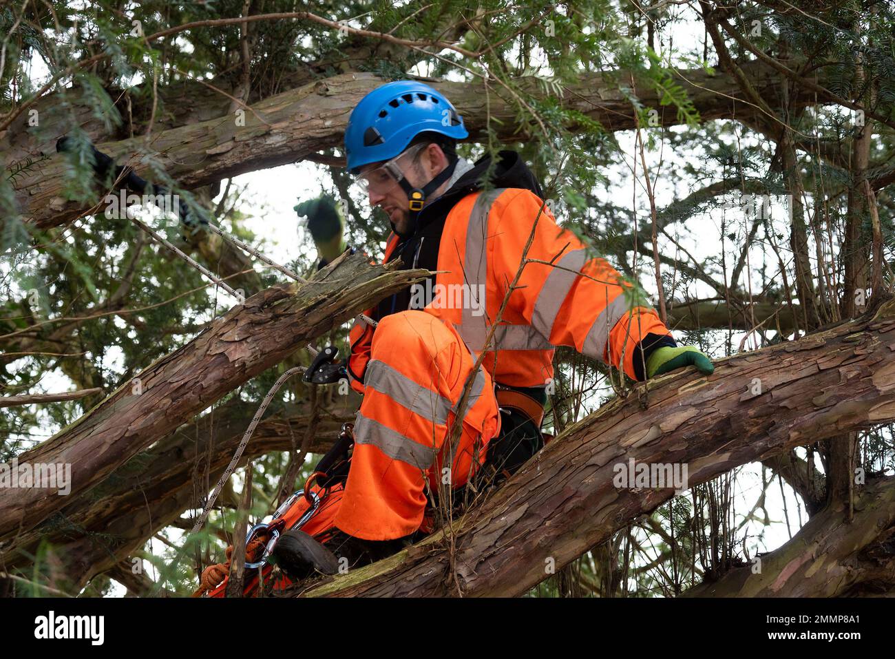 Hs2 court injunction active hires stock photography and images Alamy