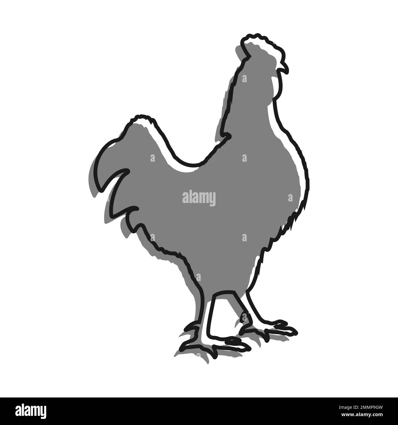 Linear filled with gray color icon. Domestic Rooster Male In Fighting