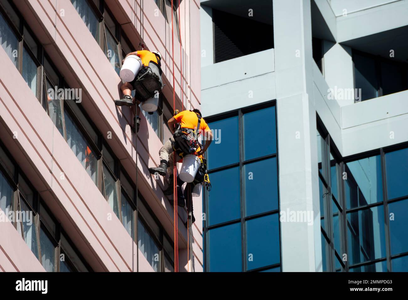 Window cleaners hanging from tall building, Wellington, North Island, New Zealand Stock Photo