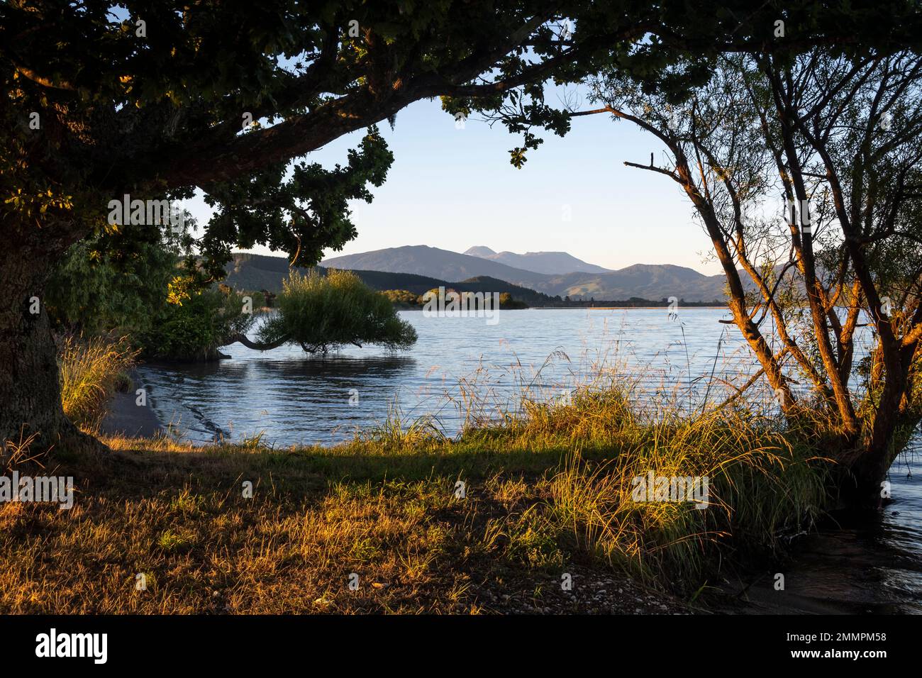 View of lake through lakeside trees, Motuoapu, Lake Taupo, North Island, New Zealand Stock Photo