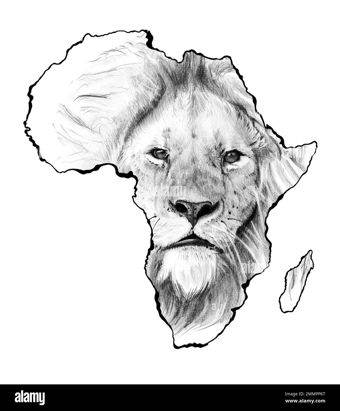 African wildlife, Hand drawn sketched lion face in africa map Stock Photo