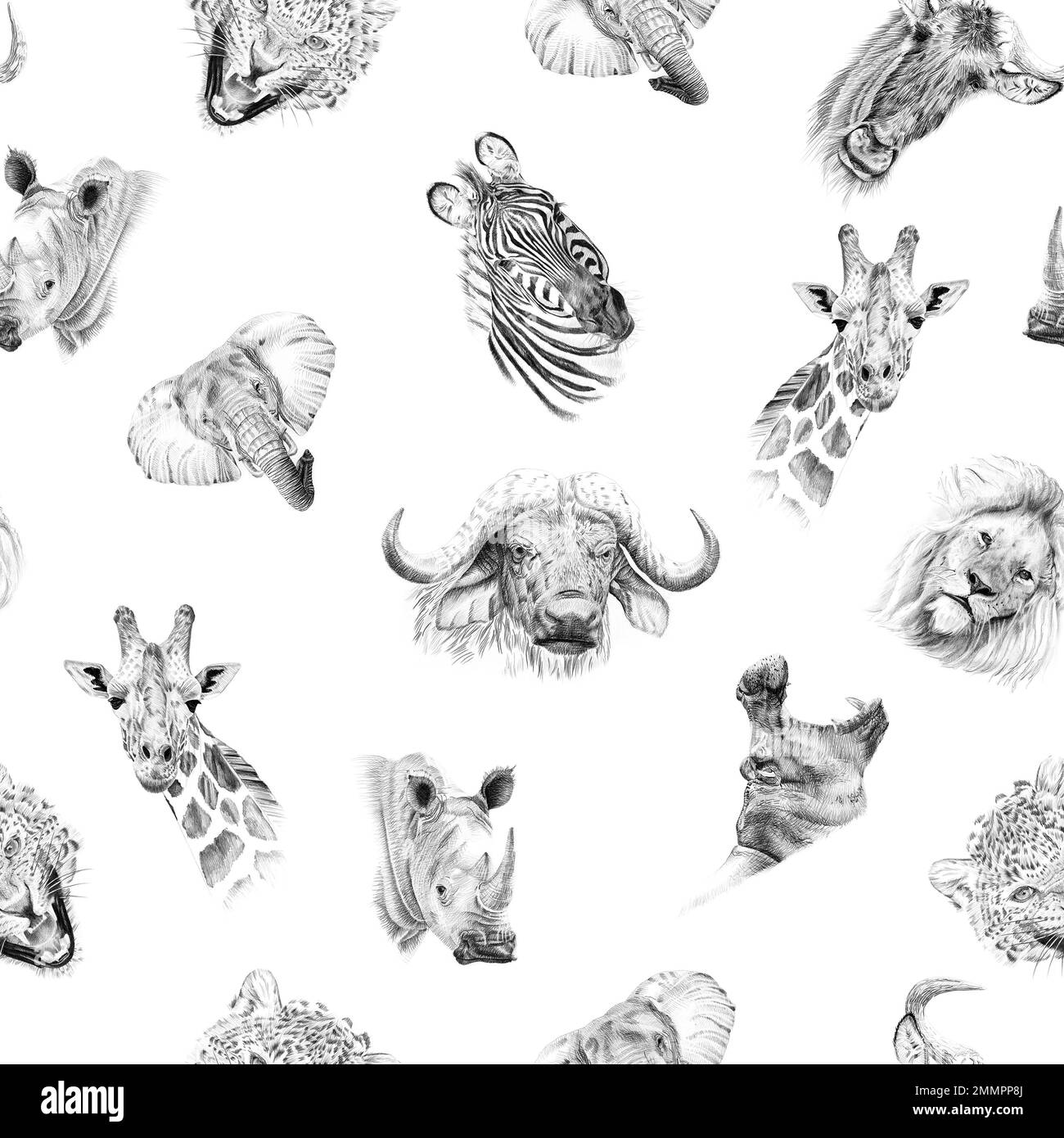 Seamless pattern of hand drawn sketch african animal portraits. Illustration isolated on white background Stock Photo