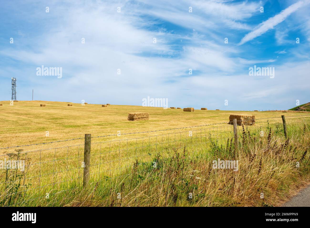 View to field on a hillside with hay bales. Shropshire, England, UK Stock Photo