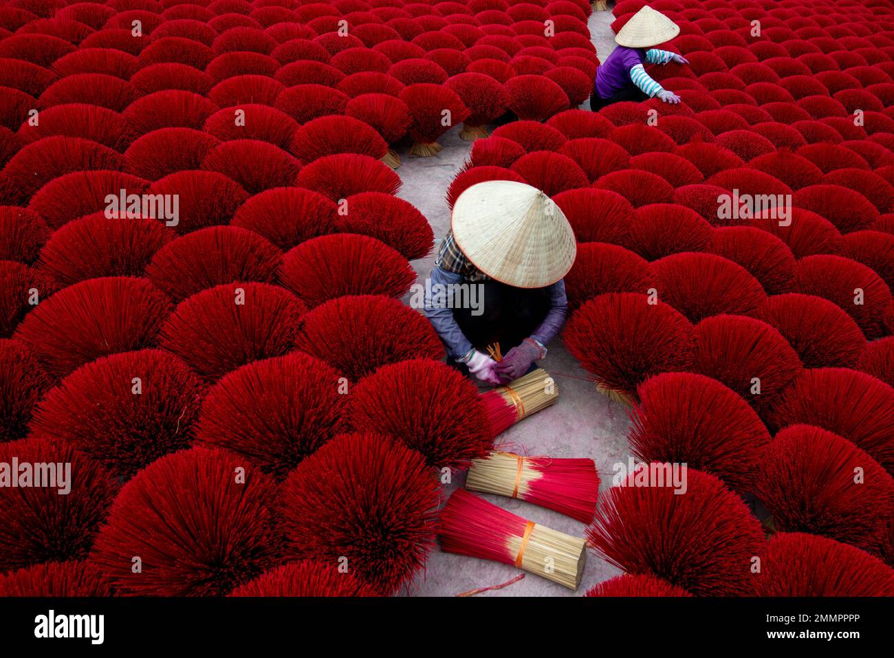 Worker make the incense in traditional 100 years village in Quang Phu