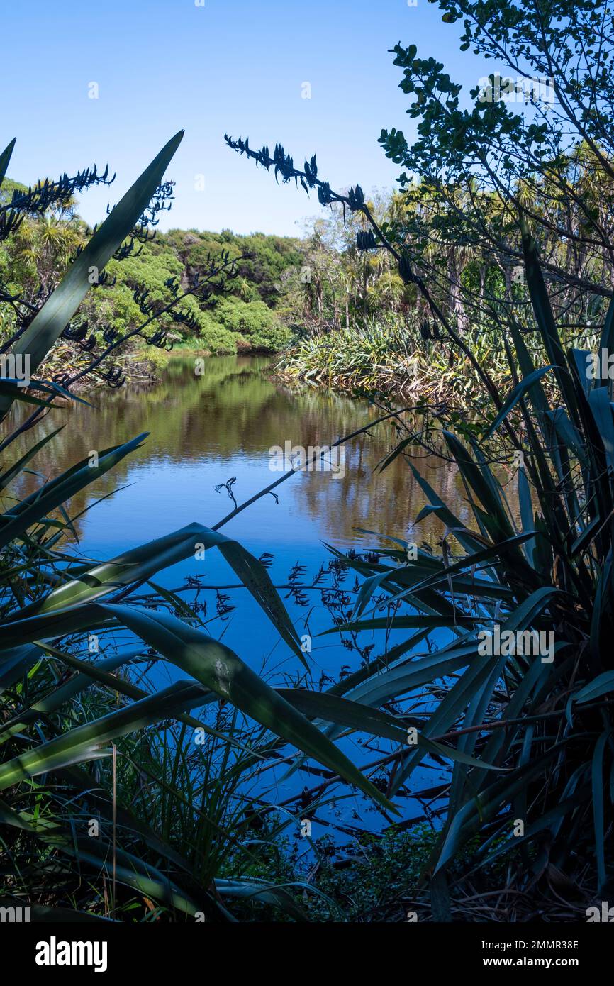 Queen Elizabeth Park, Paekakariki, Kapiti District, North Island, New