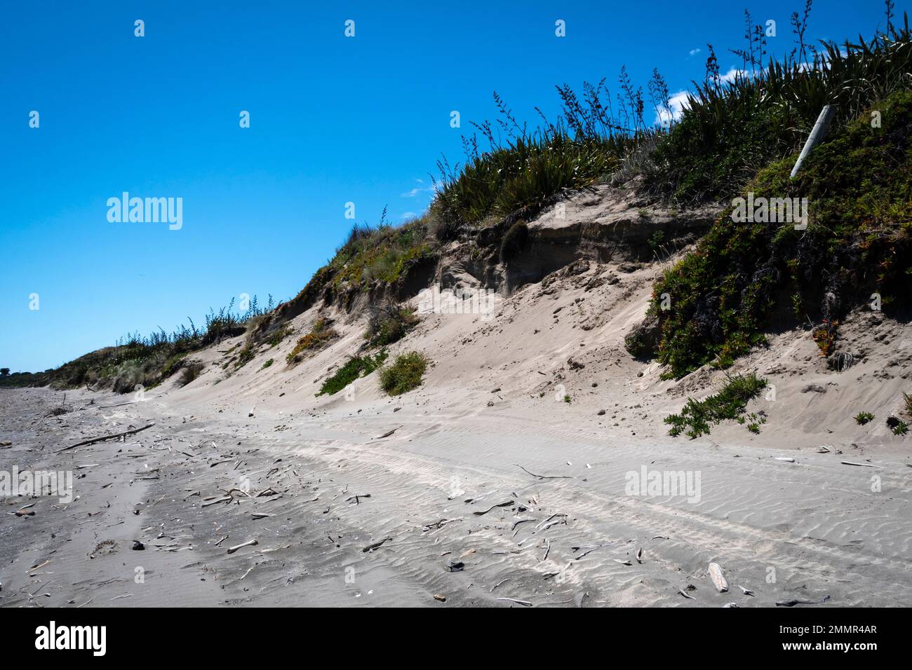 Eroding sand dunes behind beach, Queen Elizabeth Park, Paekakariki, Kapiti District, North Island, New Zealand Stock Photo