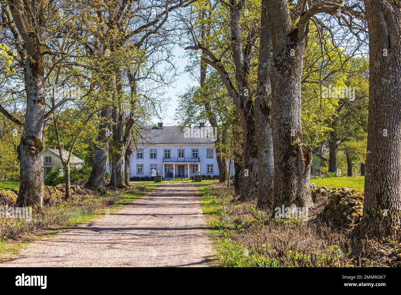 Gravel road to a farm in the countryside Stock Photo Alamy