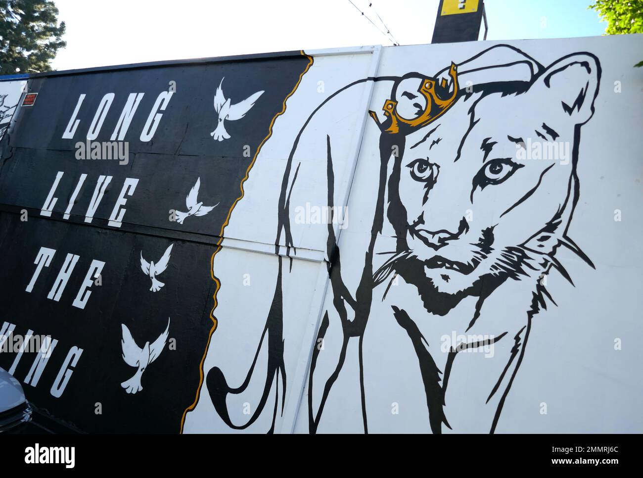 Puma los best sale angeles ca