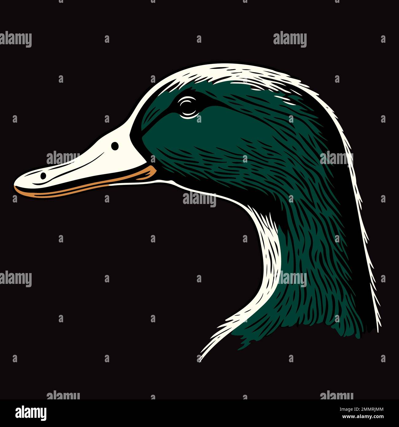 Waterfowl duck animal head vector illustration clean background hires