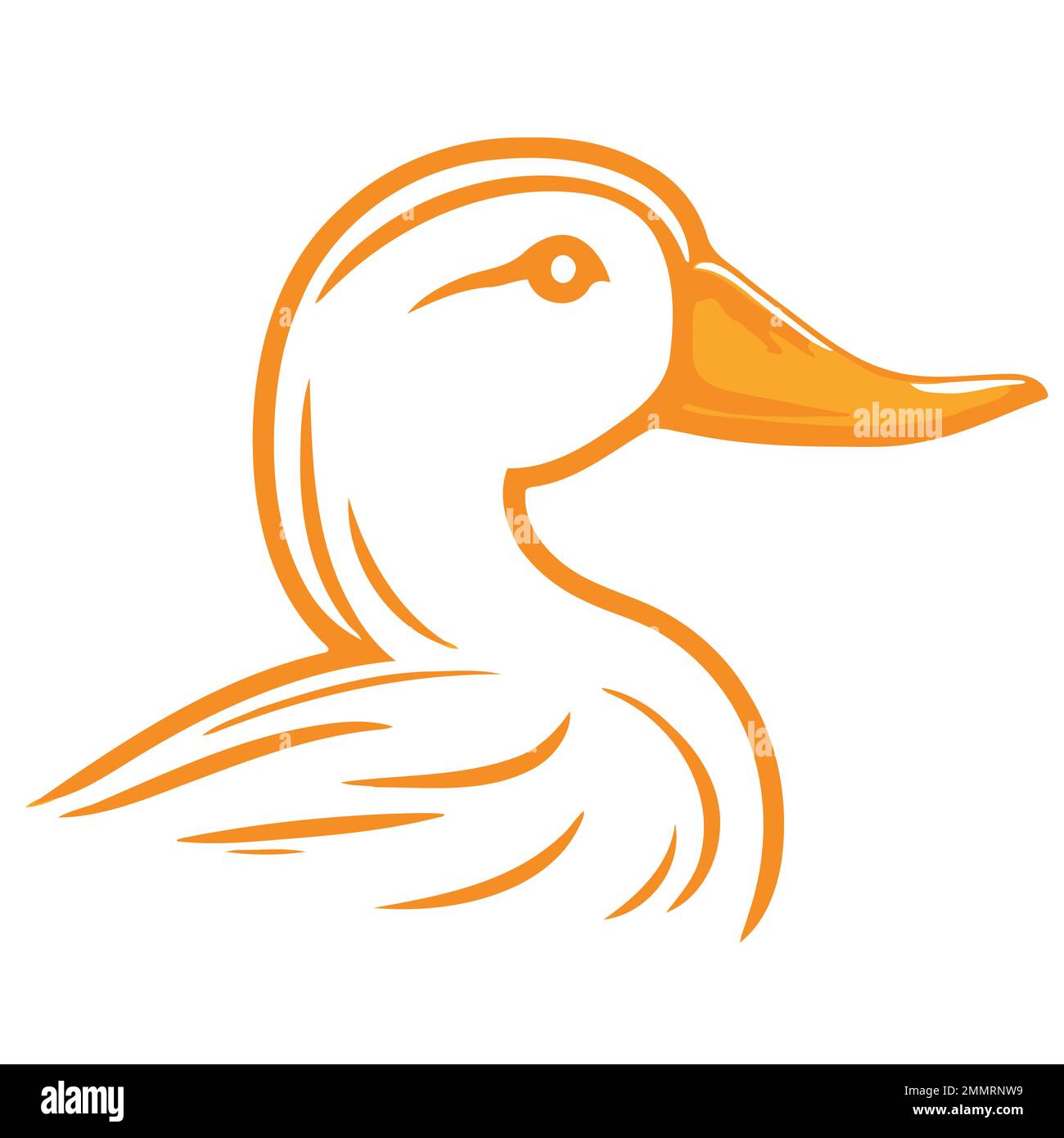Waterfowl duck animal head vector illustration clean background hires