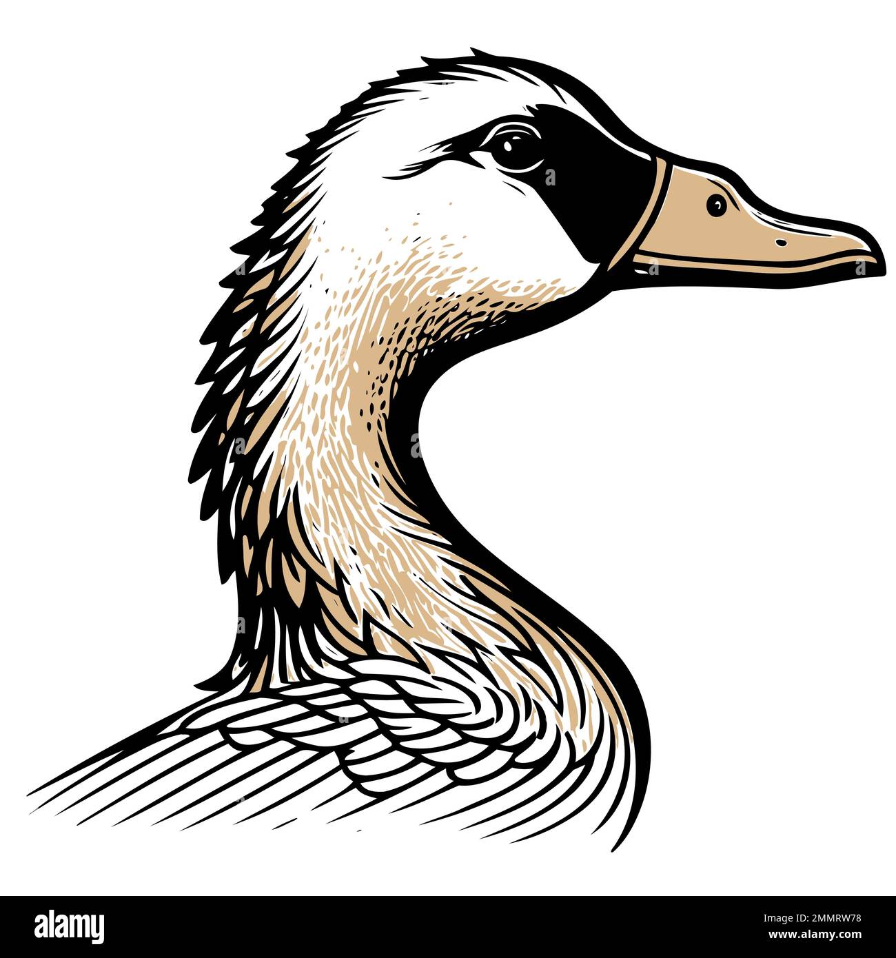 Vector illustration of animal head goose a waterfowl bird species of