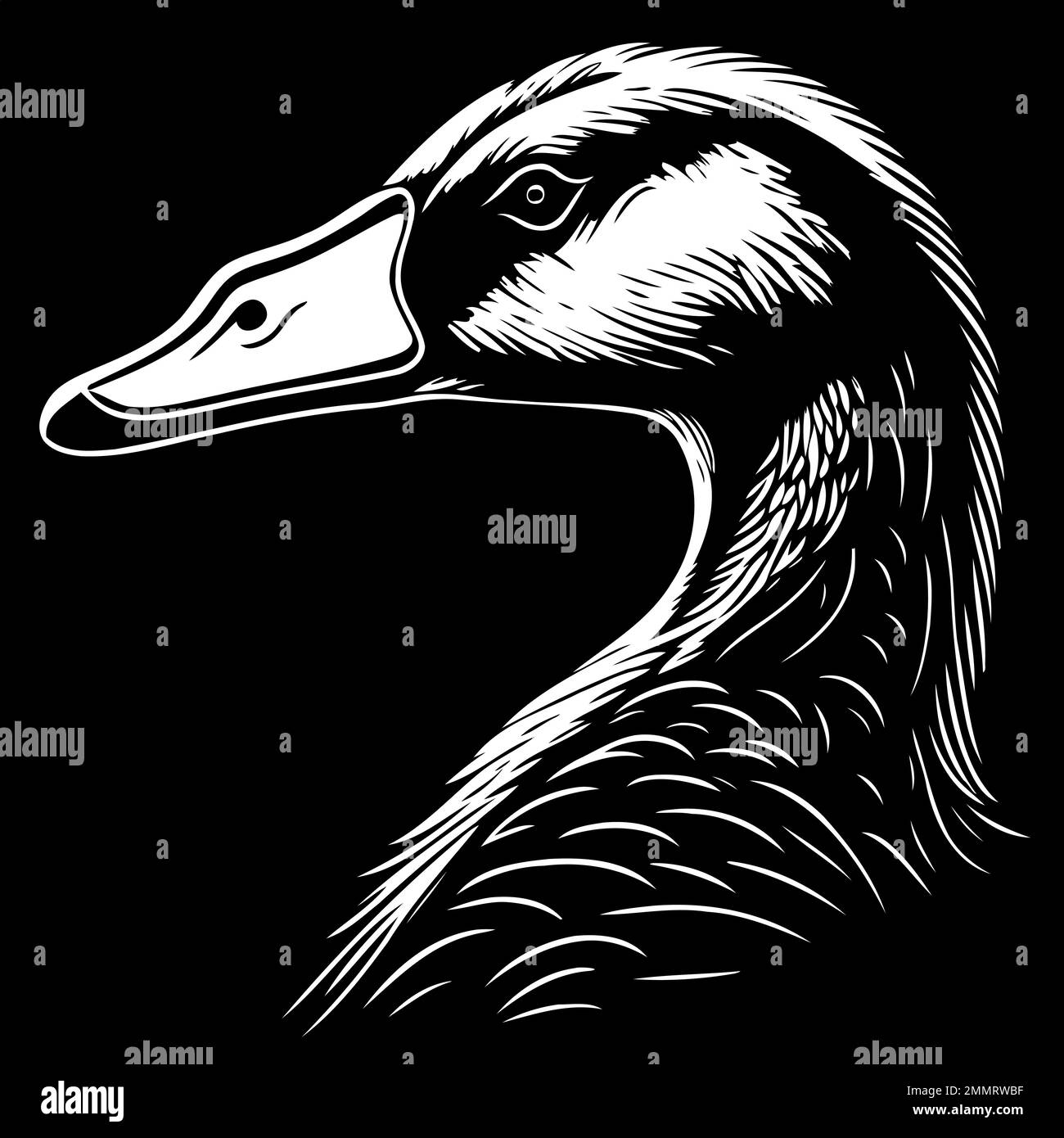 Vector illustration of animal head goose a waterfowl bird species of