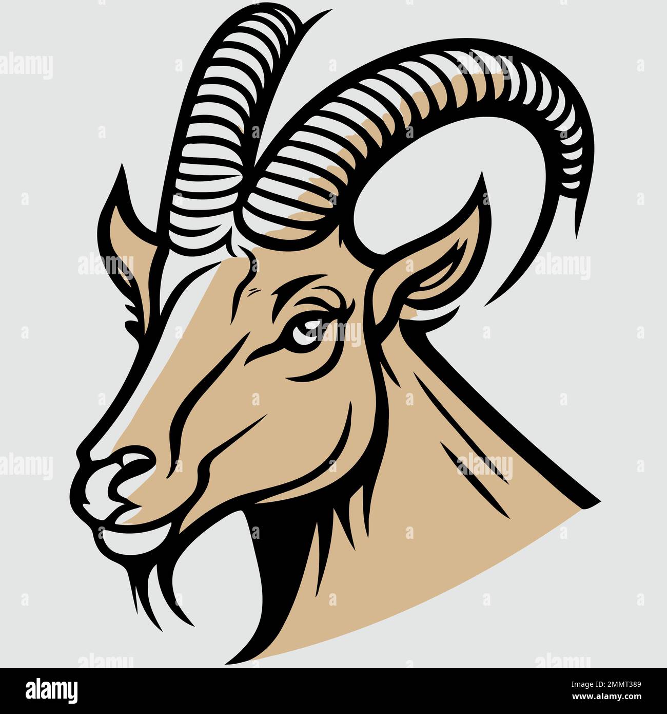 Vector illustration of animal head domestic goat of the species Capra ...