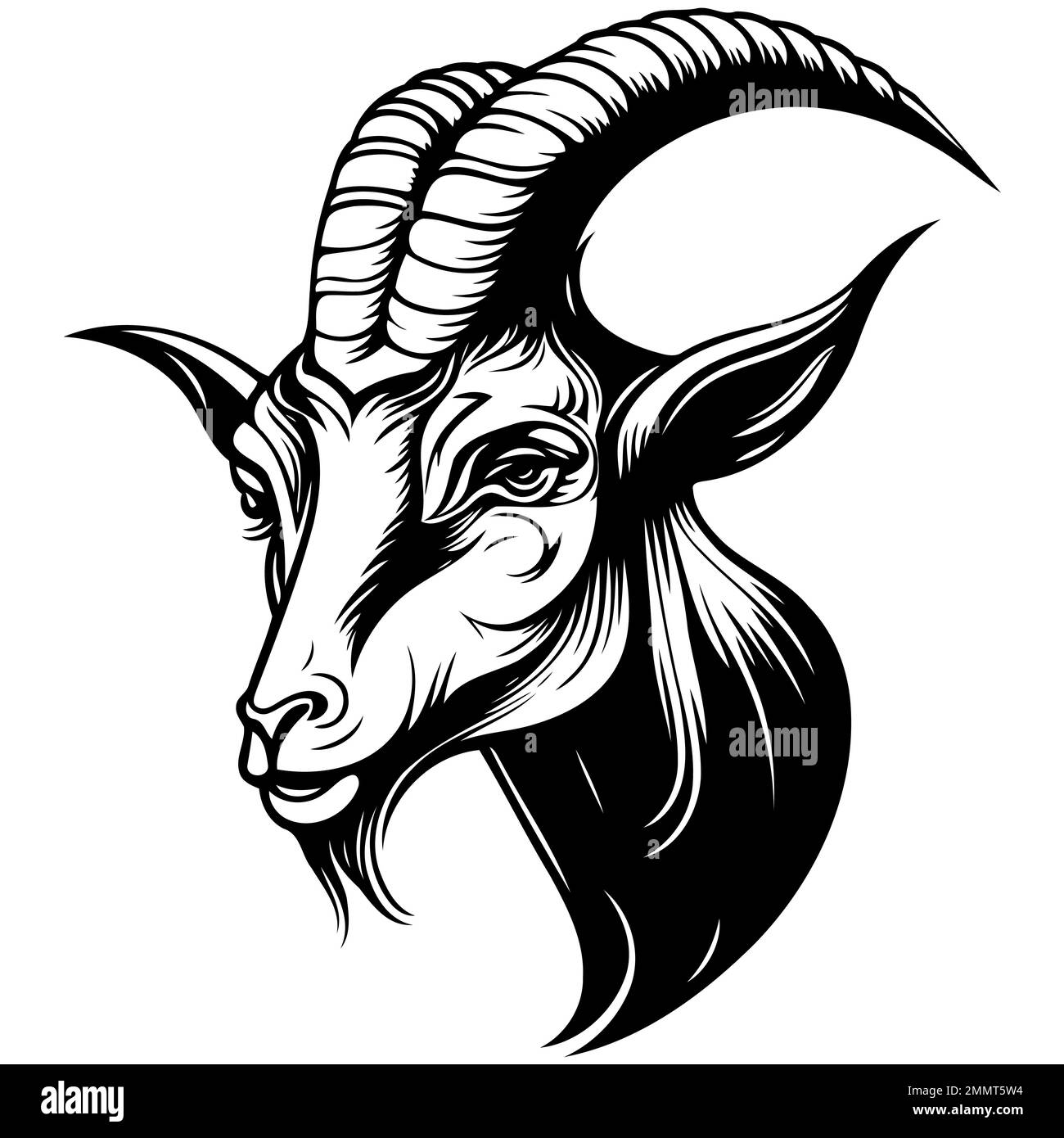 Vector illustration of animal head domestic goat of the species Capra ...