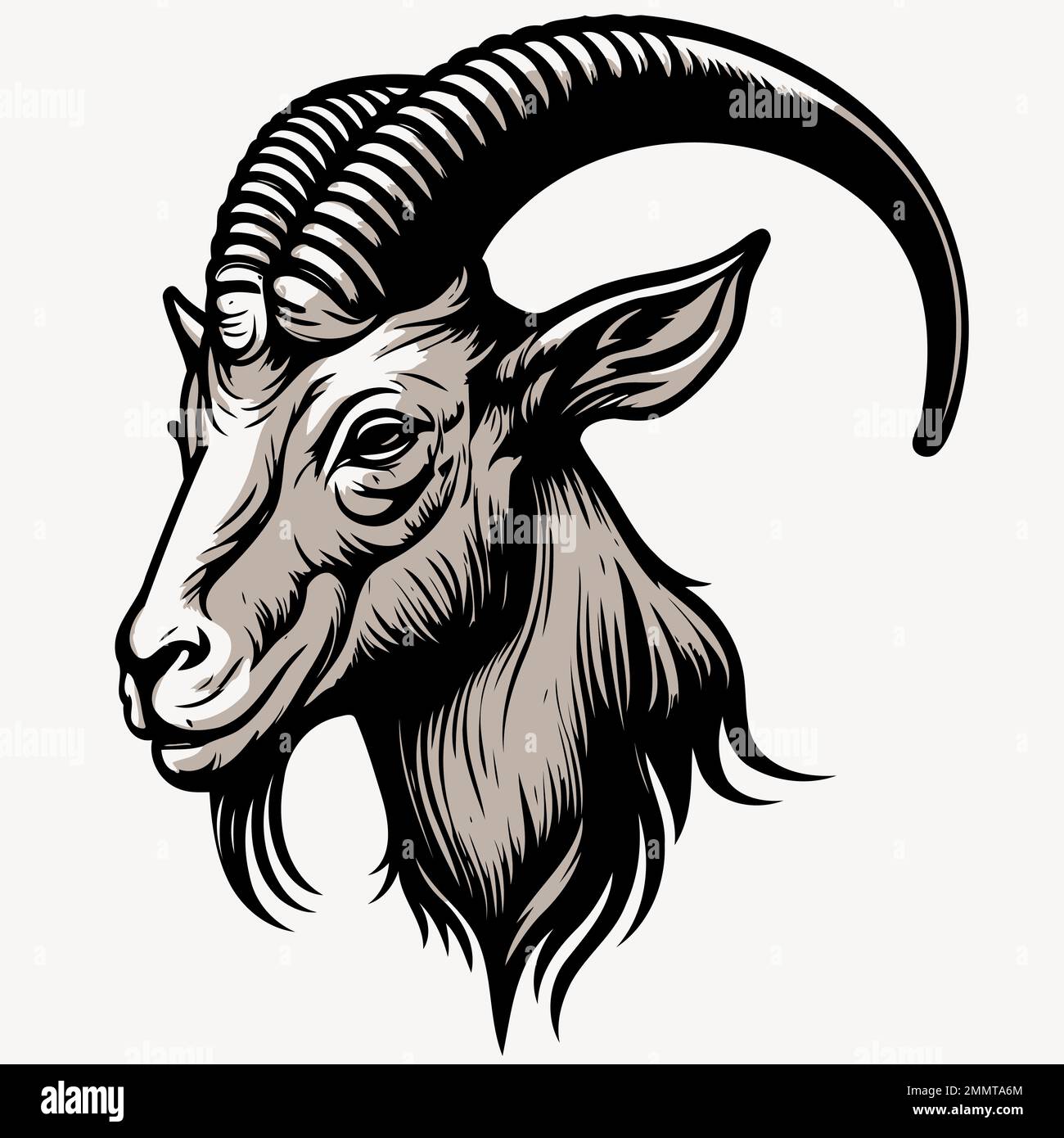 Vector illustration of animal head domestic goat of the species Capra ...