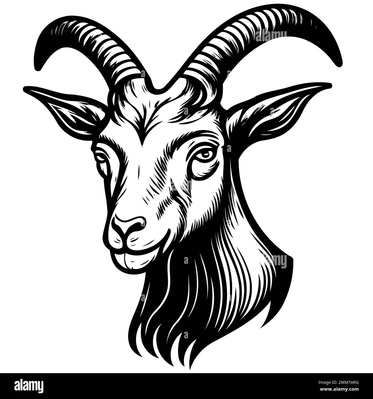 Capra hircus Stock Vector Images - Alamy