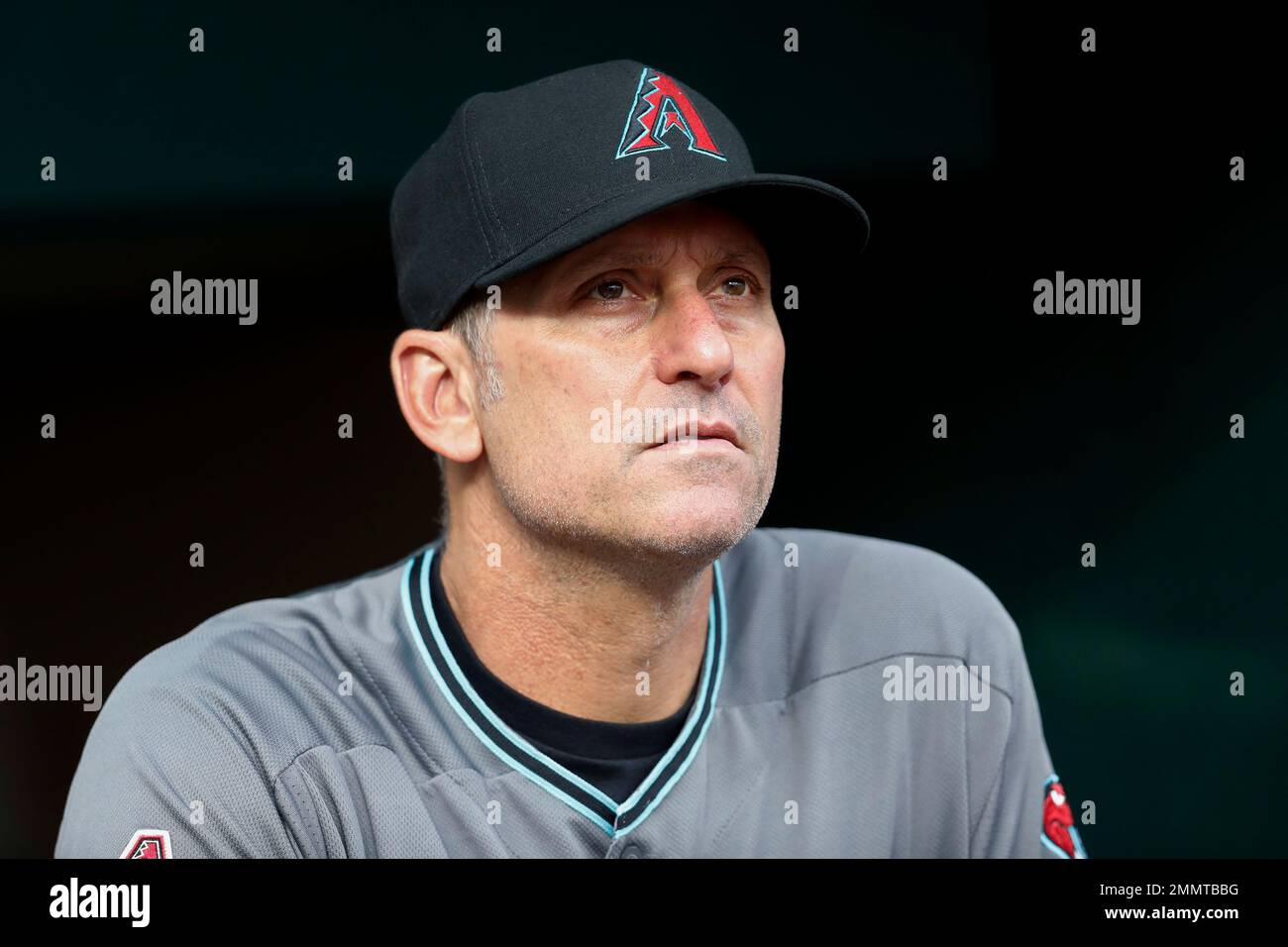 Arizona Diamondbacks manager Torey Lovullo stands in the dugout during