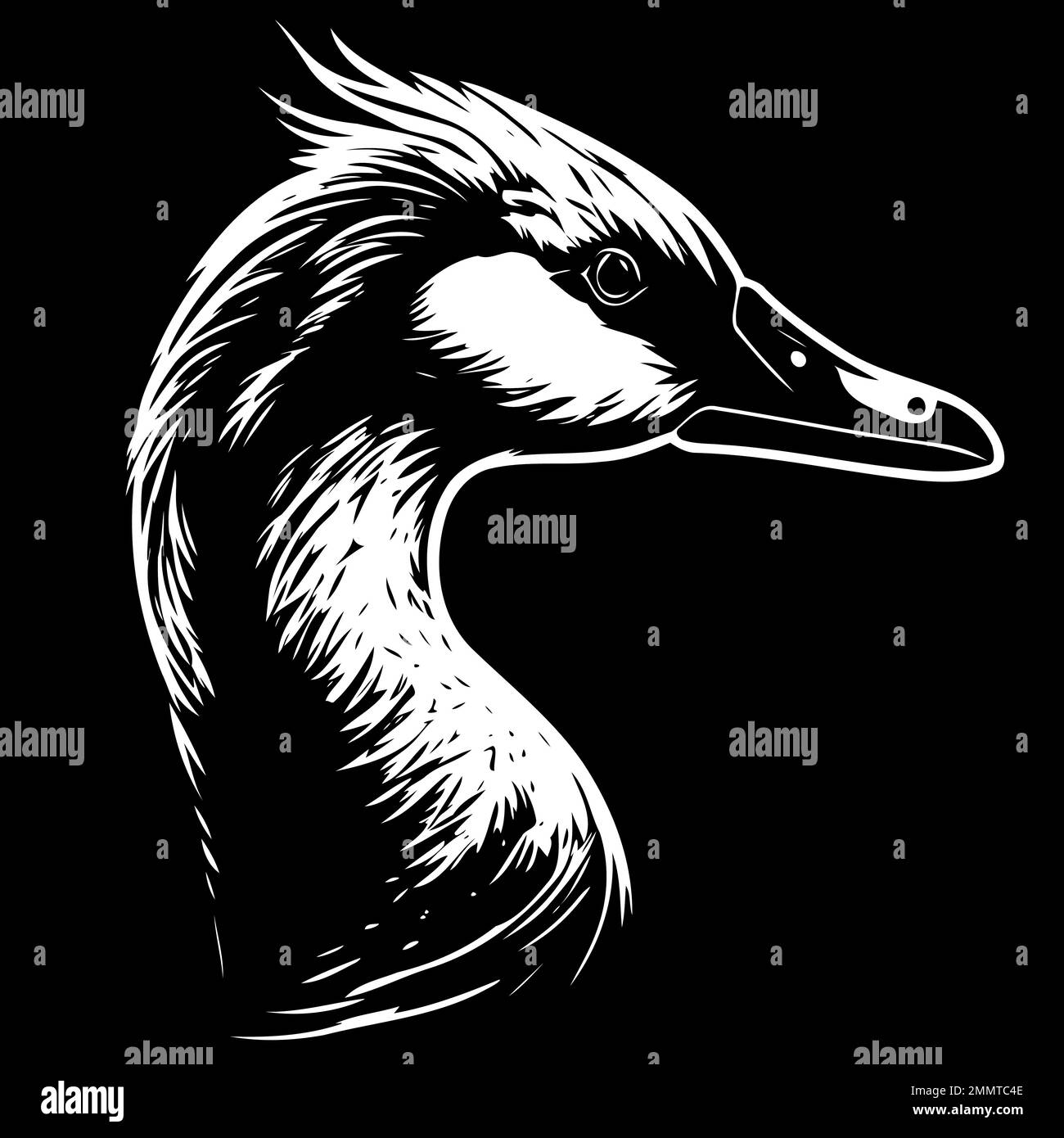 Vector illustration of animal head goose a waterfowl bird species of