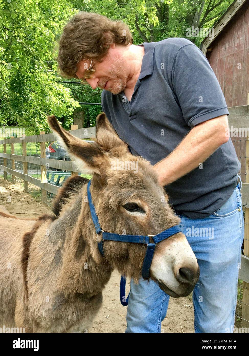 In this July 30, 2018 photo, Steve Stiert, owner of Donkey Park ...