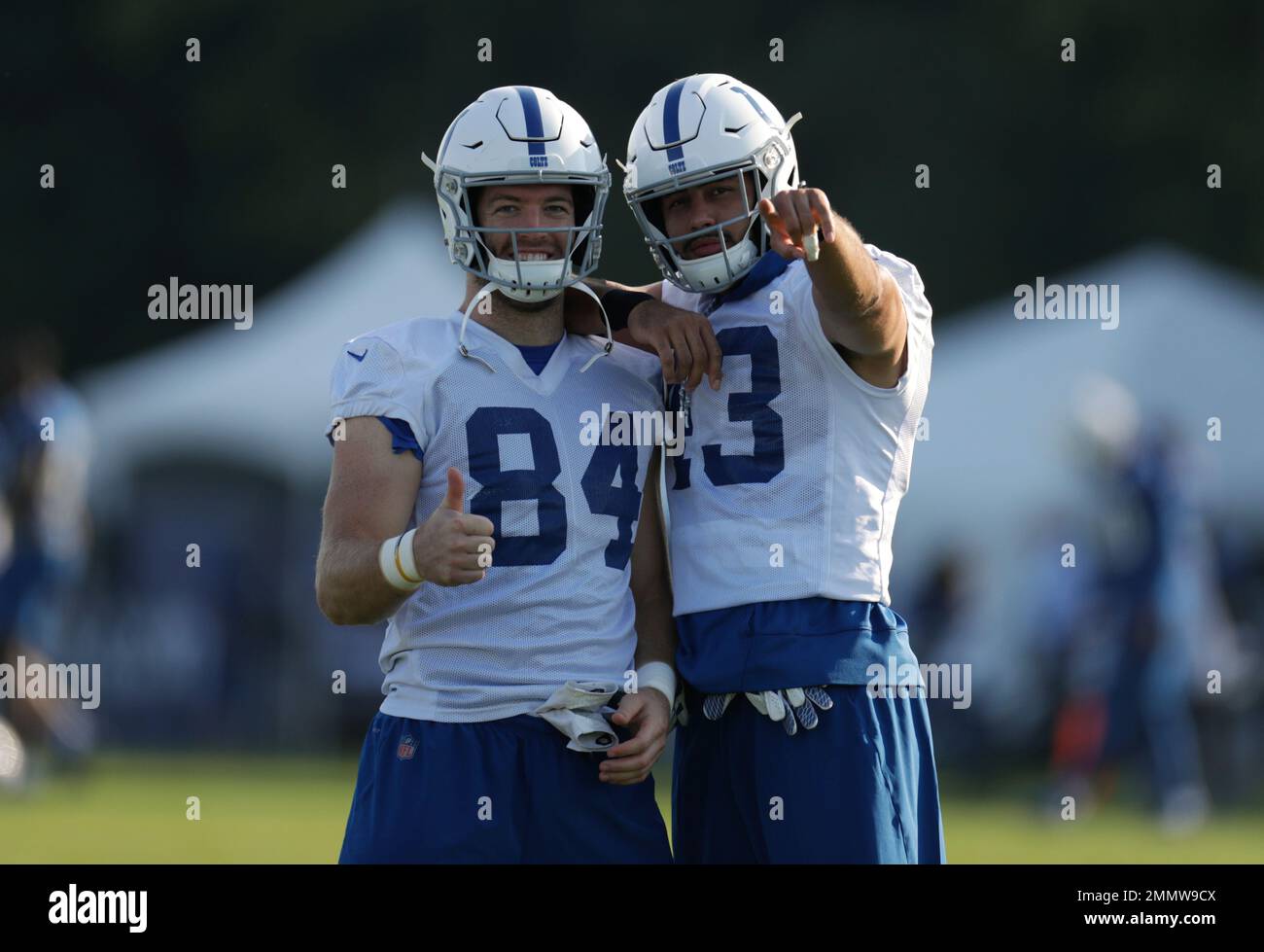 Indianapolis Colts tight end Ross Travis (43) during NFL football