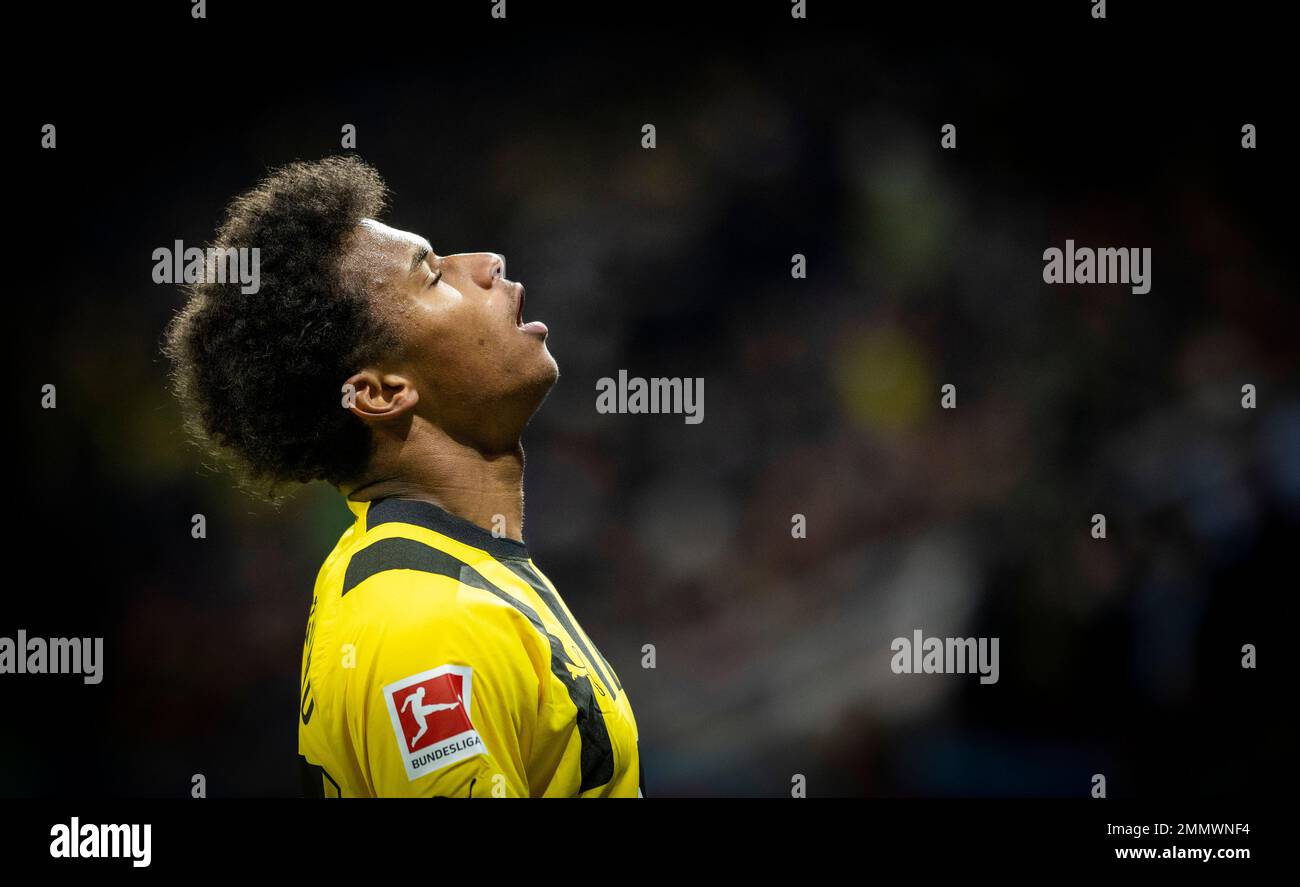 Leverkusen, Germany. 29th Jan, 2023.  Karim Adeyemi (BVB) Bayer Leverkusen - Borussia Dortmund Bundesliga 29.01.2023  Copyright (nur für journalistisc Stock Photo
