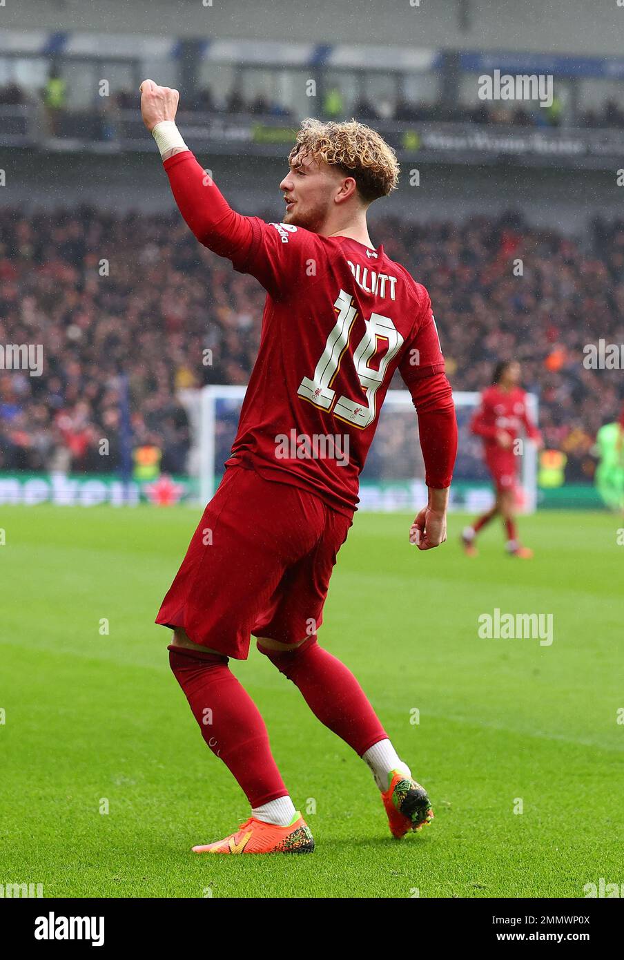 Brighton and Hove, England, 29th January 2023. Harvey Elliott of Liverpool celebrates scoring his sides opening goal during the The FA Cup match at the AMEX Stadium, Brighton and Hove. Picture credit should read: David Klein / Sportimage Stock Photo