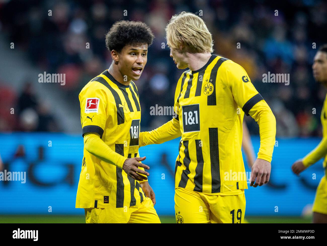 Leverkusen, Germany. 29th Jan, 2023.  Karim Adeyemi (BVB), Julian Brandt (BVB) Bayer Leverkusen - Borussia Dortmund Bundesliga 29.01.2023  Copyright ( Stock Photo