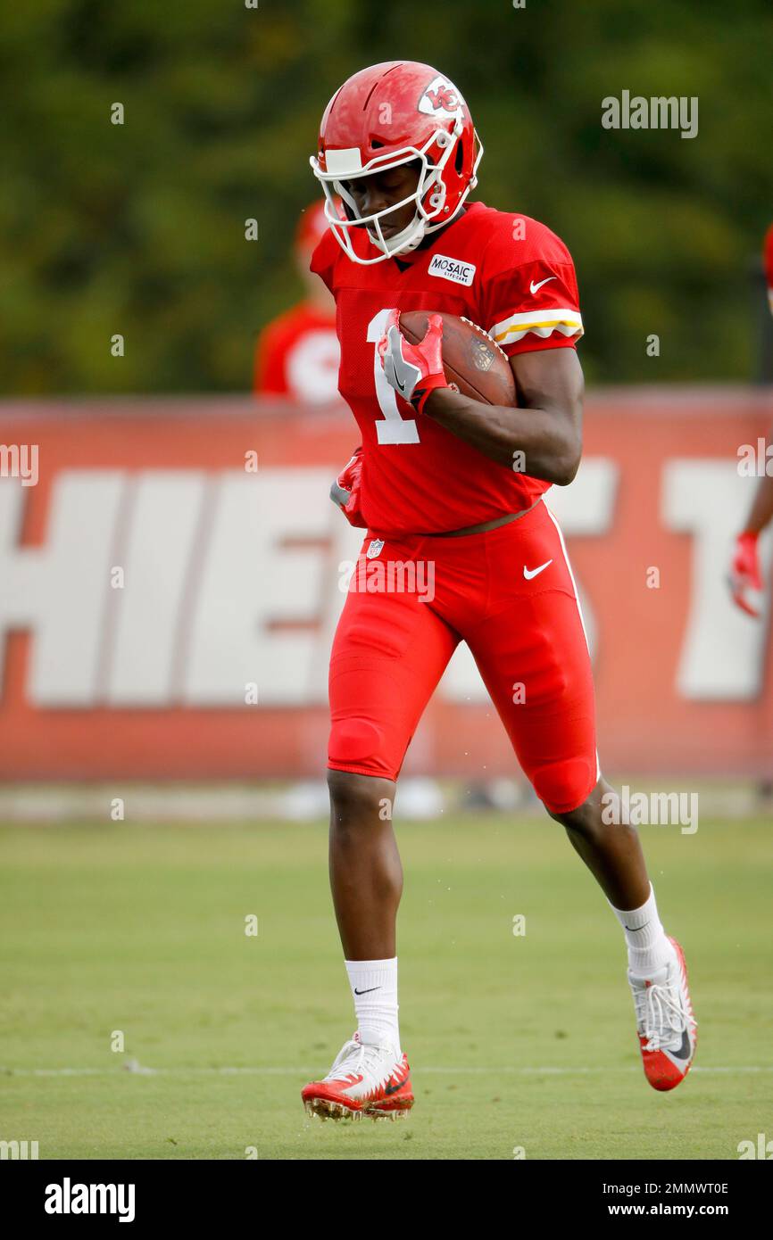 Kansas City Chiefs wide receiver Bryon Pringle runs during NFL football