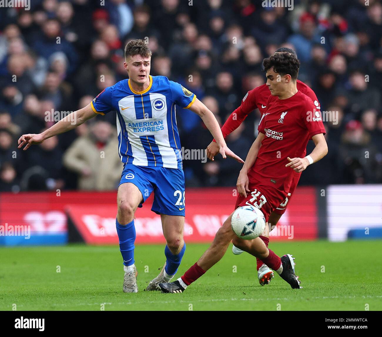 Brighton and Hove, England, 29th January 2023. Evan Ferguson of Brighton with Stefan Bajcetic of Liverpool during the The FA Cup match at the AMEX Stadium, Brighton and Hove. Picture credit should read: David Klein / Sportimage Stock Photo